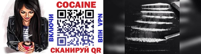 МЕГА   цены наркотик  darknet как зайти  COCAIN Fish Scale  Арзамас 