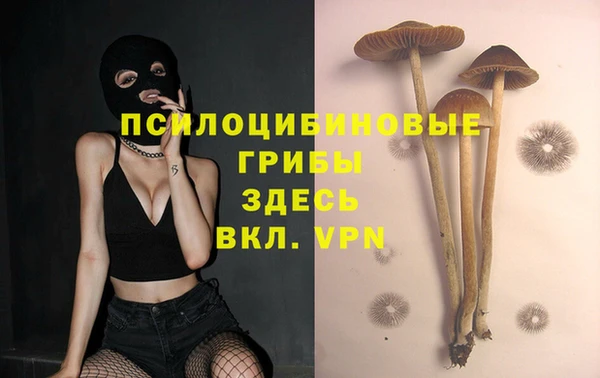 mix Вязьма