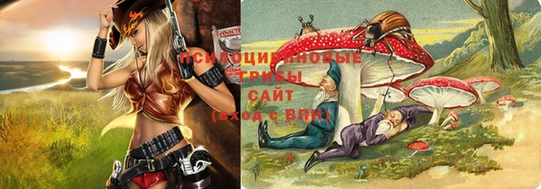 экстази Вяземский