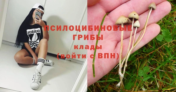 экстази Вяземский