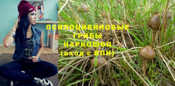 экстази Вяземский