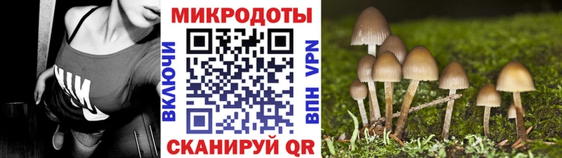 Галлюциногенные грибы мицелий  Арзамас 